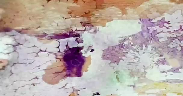 Cambio Imágenes Abstractas Manchas Pintura — Vídeo de stock