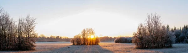 Een Vorst Bedekt Weiland Bij Zonsondergang Natuurgebied Siebenbrunn Bij Augsburg — Stockfoto