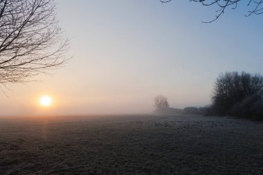 Almanya 'nın Augsburg yakınlarındaki Siebenbrunn doğa koruma alanında gün doğumunda sisli bir çayırı kaplayan kıpkırmızı bir çayırda.