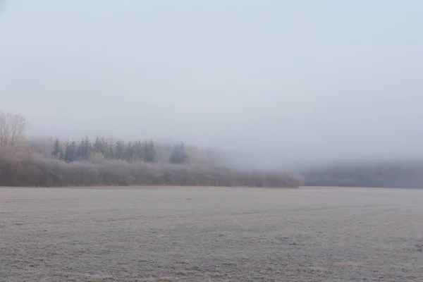 Hoarfrost Covered Misty Meadow Sunrise Siebenbrunn Nature Reserve Augsburg Germany — Fotografia de Stock