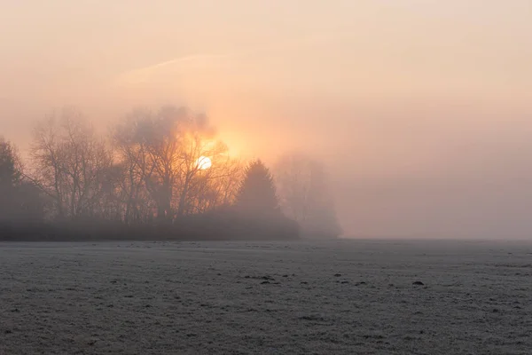 Een Vorst Bedekt Mistige Weide Bij Zonsopgang Natuurgebied Siebenbrunn Bij — Stockfoto