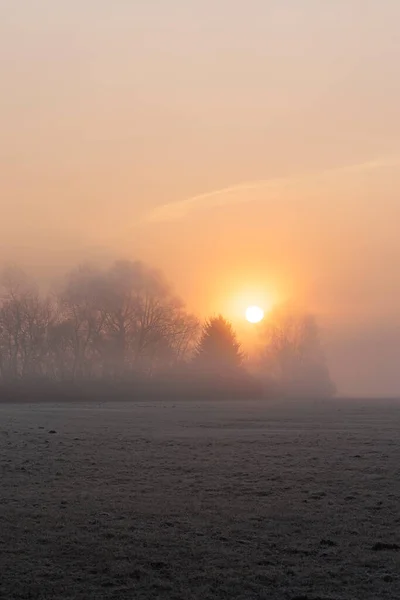Hoarfrost Covered Misty Meadow Sunrise Siebenbrunn Nature Reserve Augsburg Germany — стоковое фото