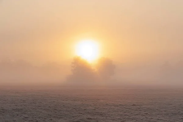 Hoarfrost Covered Misty Meadow Sunrise Siebenbrunn Nature Reserve Augsburg Germany — Stockfoto