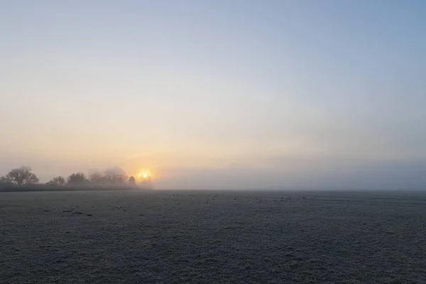 Hoarfrost Covered Misty Meadow Sunrise Siebenbrunn Nature Reserve Augsburg Germany — стоковое фото