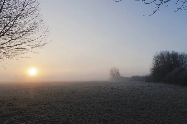 Almanya 'nın Augsburg yakınlarındaki Siebenbrunn doğa koruma alanında gün doğumunda sisli bir çayırı kaplayan kıpkırmızı bir çayırda.