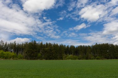 Yeşil çayır ormanları ve hafif bulutlu gökyüzü ile Bavyera alp eteklerinin manzarası