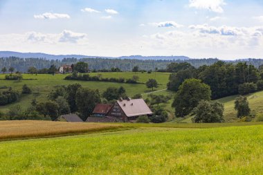 Swabian Alb 'deki ormana doğru çayırların ve otlakların üzerinden bulutlu gökyüzüne bak.