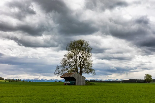 Veículo Agrícola Galpão Sob Uma Árvore Sob Céu Nublado Ameaçador — Fotografia de Stock