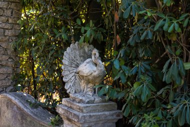 İtalya 'nın Elba adasındaki küçük Procchio kıyı kasabasındaki aşırı gelişmiş bir pergola' daki hindinin taş heykelciği.