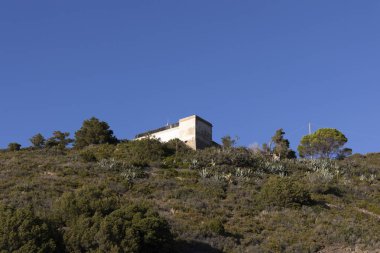 İtalya 'nın Elba adasındaki küçük Patresi sahil kasabasındaki kayalık sahildeki deniz feneri.