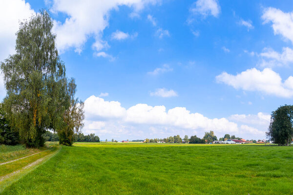 View over green pasture in summer under blue sky with light clouds