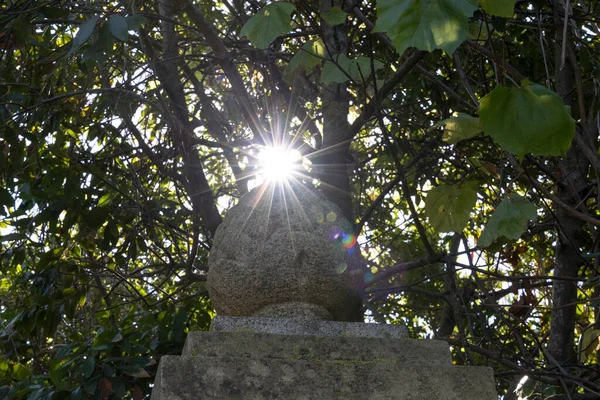 Stone Figurine Swiss Pine Nut Overgrown Pergola Small Coastal Town — Stock Photo, Image