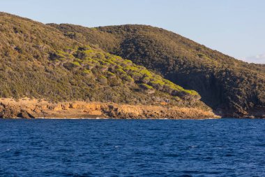 Tuscany 'deki Elba adasının kuzey batı kıyısına deniz tarafından bak.