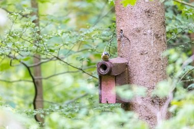 Yapay beton yuvalama yardımının üzerinde oturan bir tımarhane.