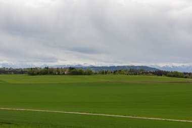 Yeşil çayır ormanları ve hafif bulutlu gökyüzü ile Bavyera alp eteklerinin manzarası