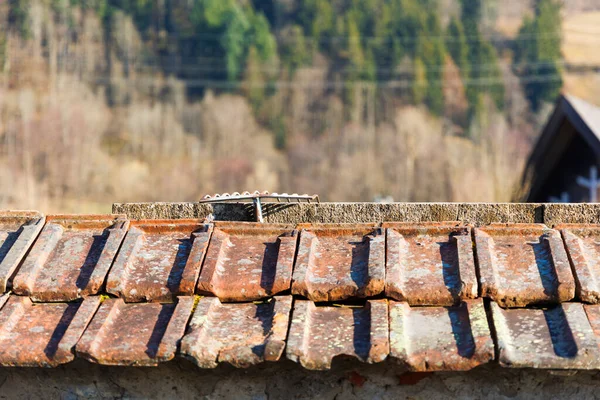 Hlava Hrábě Visí Náhrobku Který Tyčí Nad Hřbitovní Zdí Hřbitova — Stock fotografie