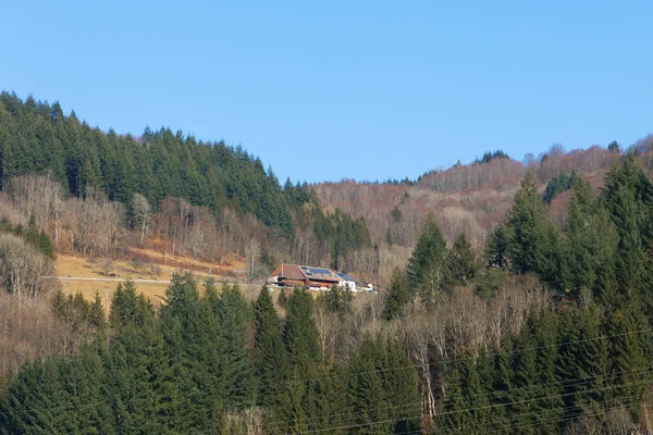 Historisches Bauernhaus Schwarzwald Mit Moderner Photovoltaikanlage Auf Dem Dach Mitten — Stockfoto