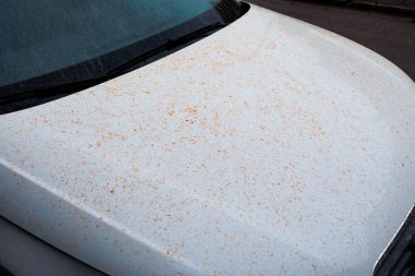 Kan yağmurundan sonra kırmızı toz lekeleri olan beyaz arabanın kaputu