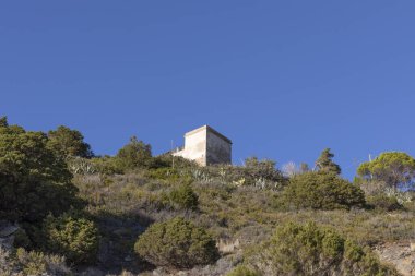 İtalya 'nın Elba adasındaki küçük Patresi sahil kasabasındaki kayalık sahildeki deniz feneri.