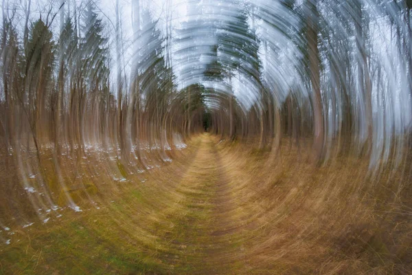 Círculos Concêntricos Visam Fim Caminho Florestal Com Fundo Embaçado Criar — Fotografia de Stock