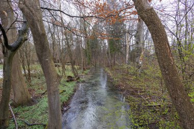 Kışın dere kenarında, ormanda toprak bir yol.
