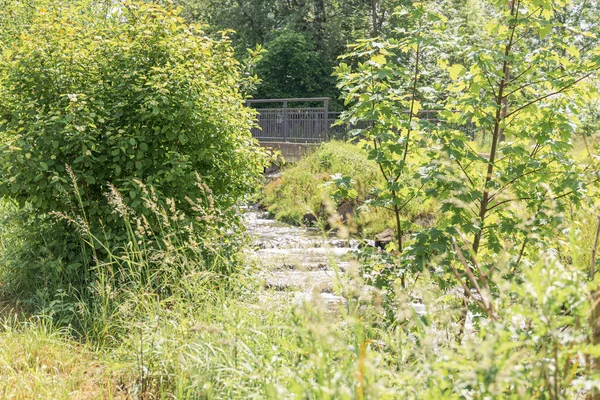 Gyönyörű Kilátás Nyílik Folyóra Faluban — Stock Fotó