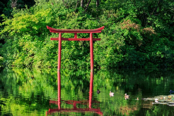 Červená Japonská Torii Brána Odráží Vodě Jezera — Stock fotografie