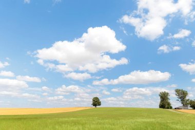 Kümülüs bulutu mavi gökyüzünde yeşil çayırlar üzerinde yalnız ağaçların durduğu yerde