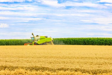 Combine harvester harvesting in a grain field