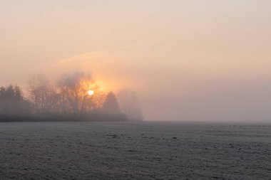Almanya 'nın Augsburg yakınlarındaki Siebenbrunn doğa koruma alanında gün doğumunda sisli bir çayırı kaplayan kıpkırmızı bir çayırda.