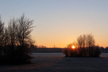 Günbatımında, Almanya 'nın Augsburg yakınlarındaki Siebenbrunn doğa koruma alanında bir çayırlık kaplıydı.
