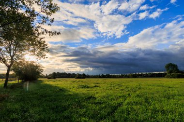 Güneş ışınları ağaçların arasından, Augsburg yakınlarındaki Siebenbrunn 'daki meyve bahçeleri arasındaki toprak yolda parlıyor..