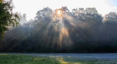 Güneşli bir sabahta, Augsburg yakınlarındaki Siebenbrunn 'daki çayırlar üzerinde sis bulutları.