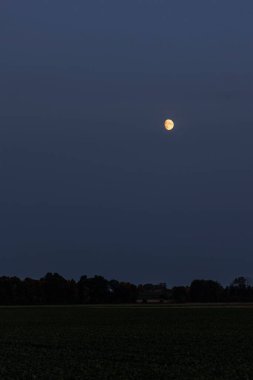 Akşamları kırmızı balmumu ay