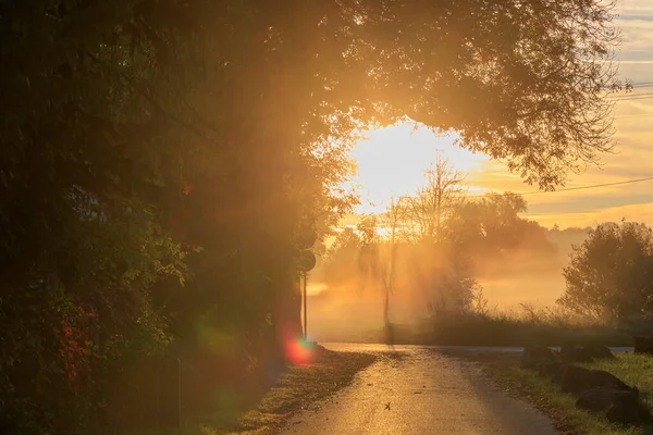 Colorful Sunrise Foggy Meadows Dirt Road Augsburg City Forest Siebenbrunn — Stock Photo, Image