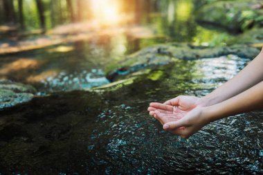 Gün ışığıyla gölette taze suyu tutan el.