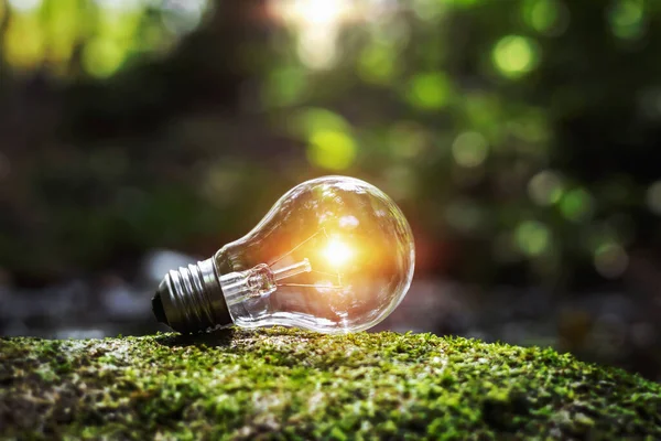 Енергетична Лампа Природі — стокове фото