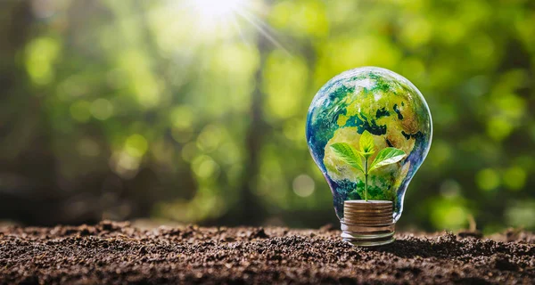 Parayla büyüyen küçük ağaçlı ampulün üzerindeki dünya. Dünya üzerindeki iş enerjisi kavramı. Bu görüntünün elementleri NASA tarafından desteklenmektedir.