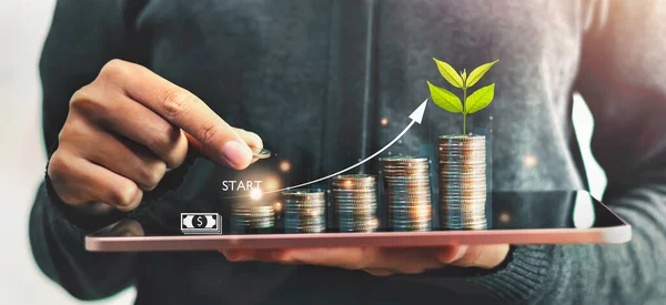 Startup concept with icon business and network connection with people putting coins stack  and plant growth on money