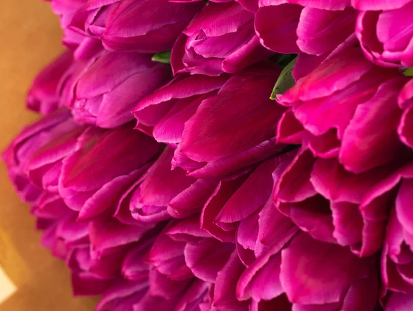 Rózsaszín tulipán fajták Barcelona közelkép. friss tulipánbimbó csokor. — Stock Fotó