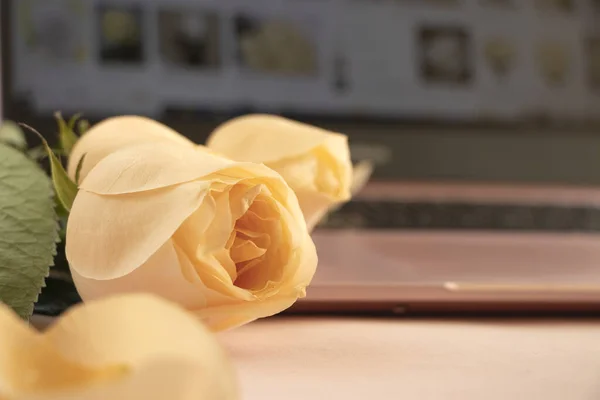 Egy csokor virág az asztalon a háttérben egy laptop. — Stock Fotó