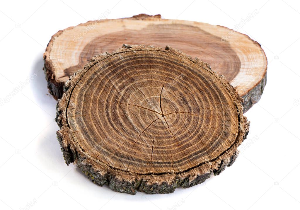 Old wooden oak tree cut surface. Detailed warm dark brown 