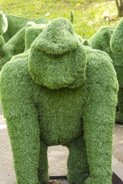 Orangutan yeşil hayvanlardaki çalılıklardan yaratıldı. Bahçe dekorasyonu. Yapay çim sergisinin figürleri. Toprak bahçeleri. Bahçe heykelleri, heykeller. 