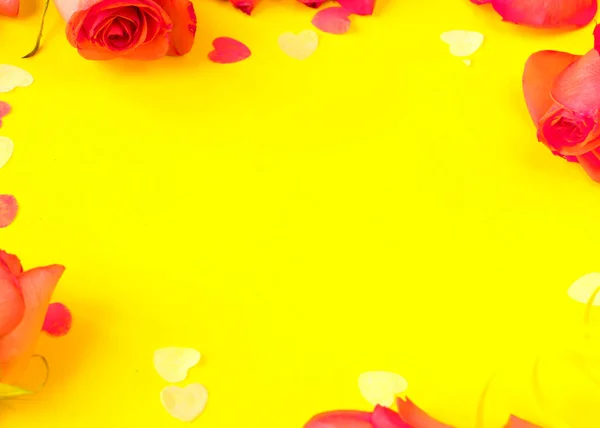 Vörös Rózsa Virágok Sárga Háttérrel Másolás Helyet Banner Tavaszi Koncepció — Stock Fotó