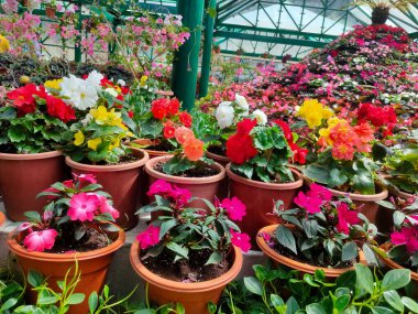 Peyzajlı çiçek bahçesi manzarası