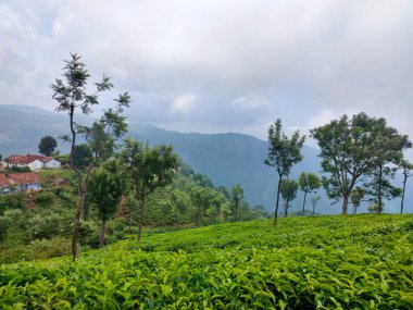 Emerald Gölü, Nilgiris (Ooty), Tamilnadu, Hindistan 