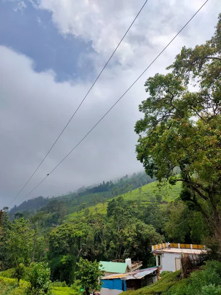 美丽的黎明在山上 在有雾的山谷 松树和遥远的山在晴朗的天空背景下的草地上的旅游帐篷女孩的剪影 旅游与自然之美 — 图库照片