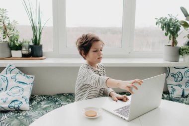 Küçük çocuk mutfakta oturuyor ve dizüstü bilgisayara bakıyor. Yüksek kalite fotoğraf