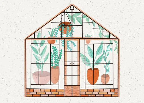 Flat illustration of planting greenhouse drawn textures. Glass orangery, botanical garde. Potted plants home gardening isolated. Plants hanging on ropes, growing greenery in pots cartoon glass