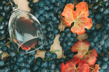 Yapraklı bir demet siyah üzüm ve bütün uçağı dolduran bir bardak şarap..